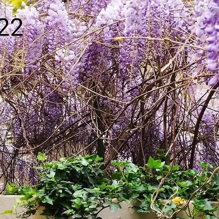 Garden House - Luxury - Overnight Only Guest house Rome