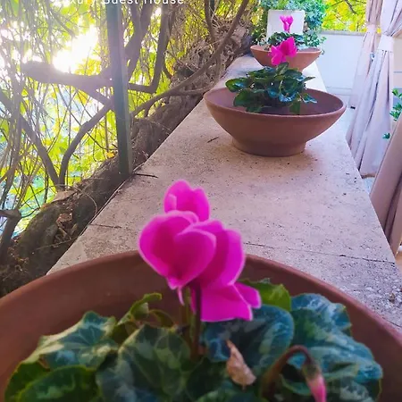Garden House - Luxury - Overnight Only Rome